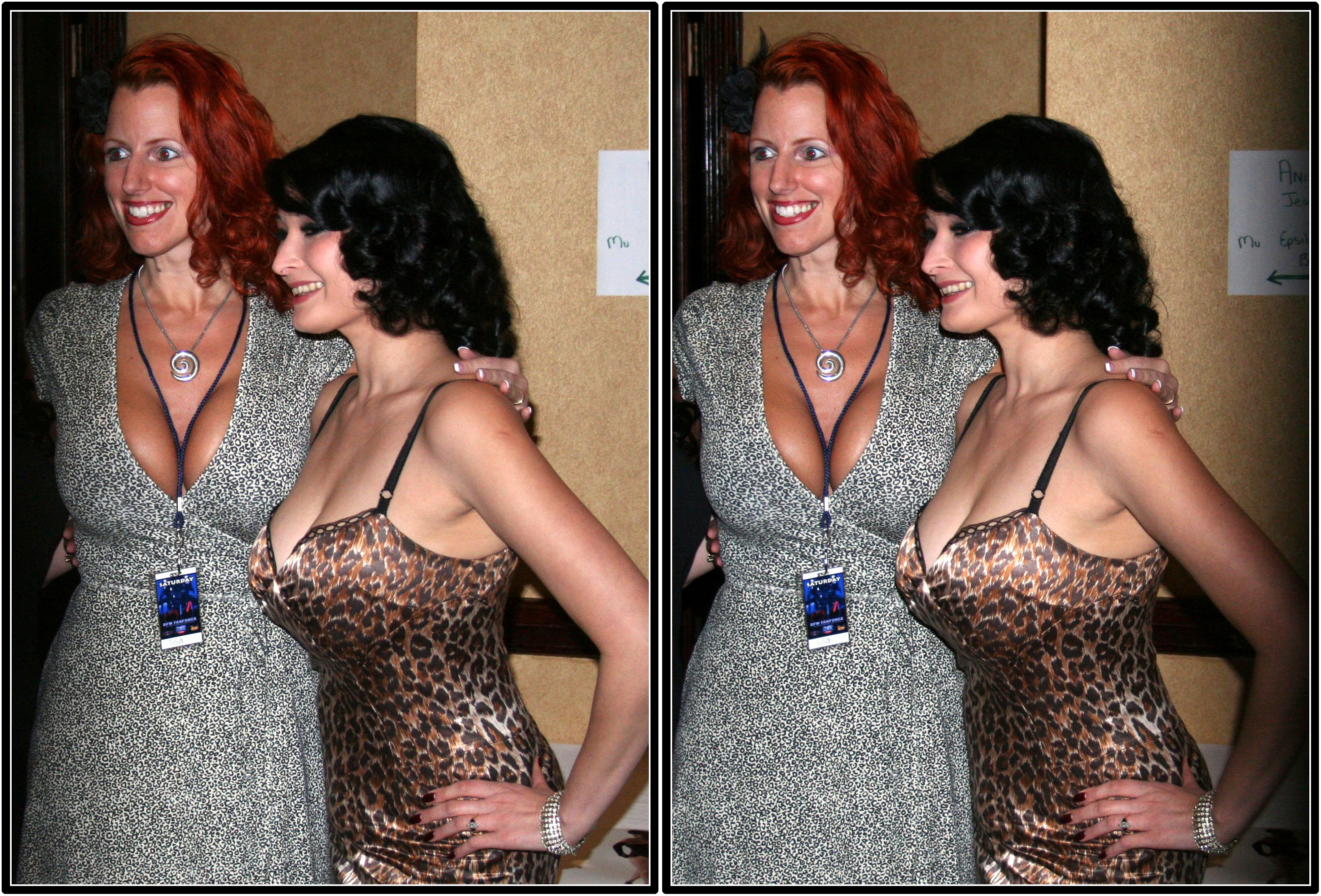 All-Con Dallas, Addison, Texas 20080308_2327621779_o.jpg